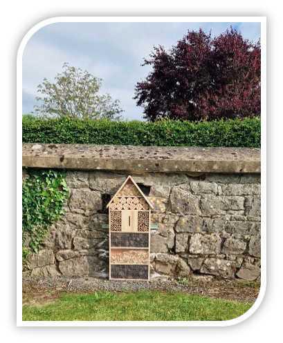 TeamTalk 8 July 2024 TeamTalk 8 July 2024