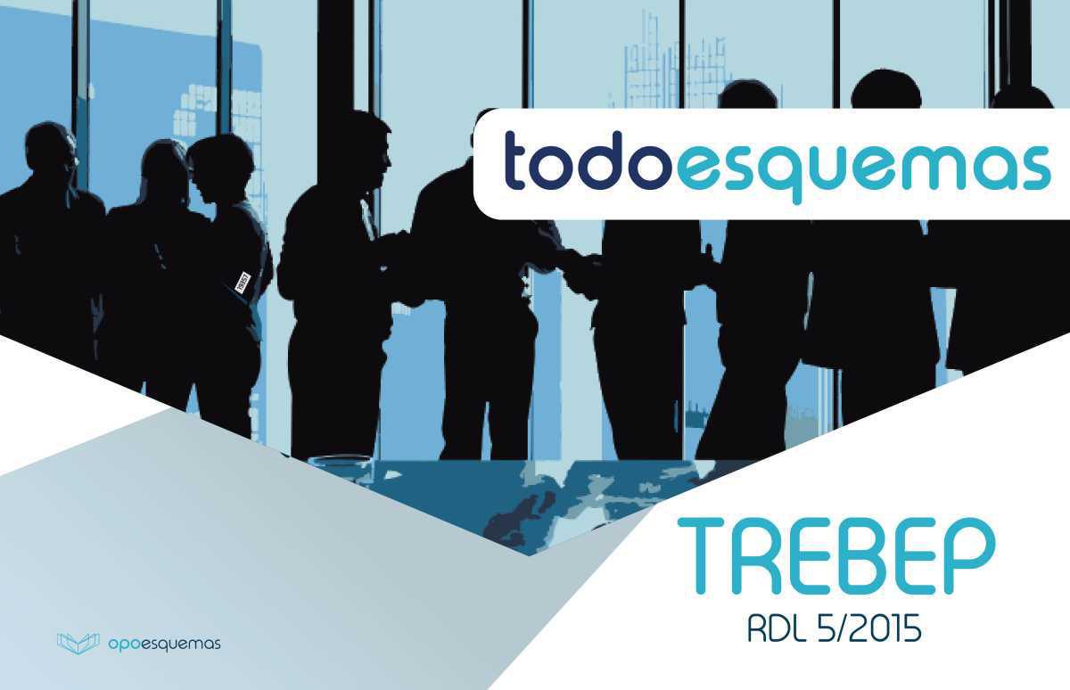 TREBEP 5/2015