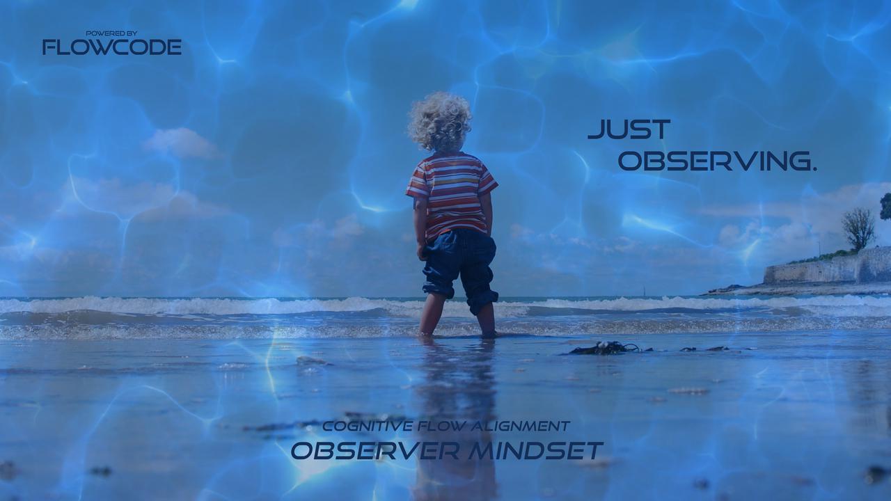 FlowCode - Observer mindset - Just observing