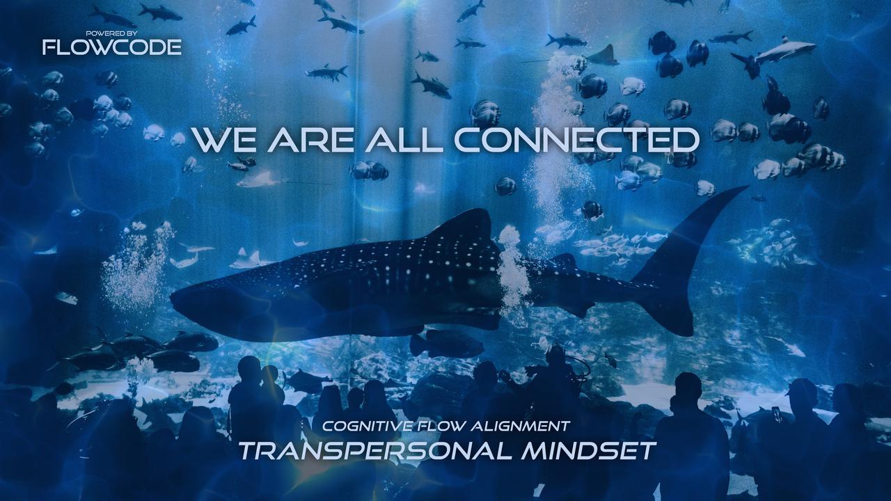 FlowCode - Transpersonal mindset - We are all connected