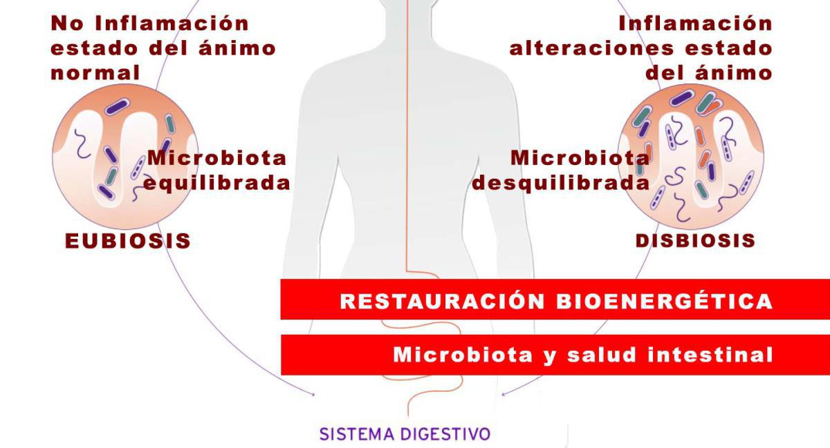 MICROBIOTA Y SALUD INTESTINAL