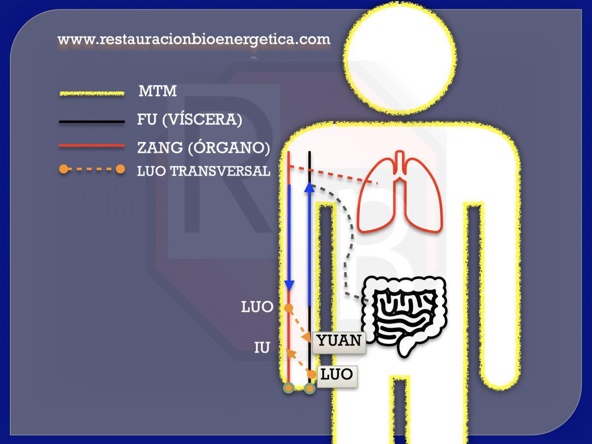 PUNTOS SHU ANTIGUOS