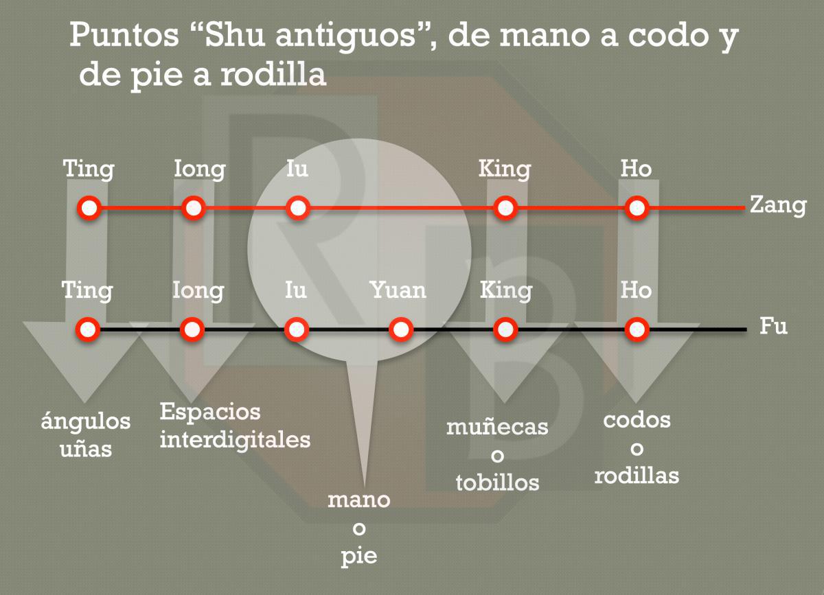 PUNTOS SHU ANTIGUOS