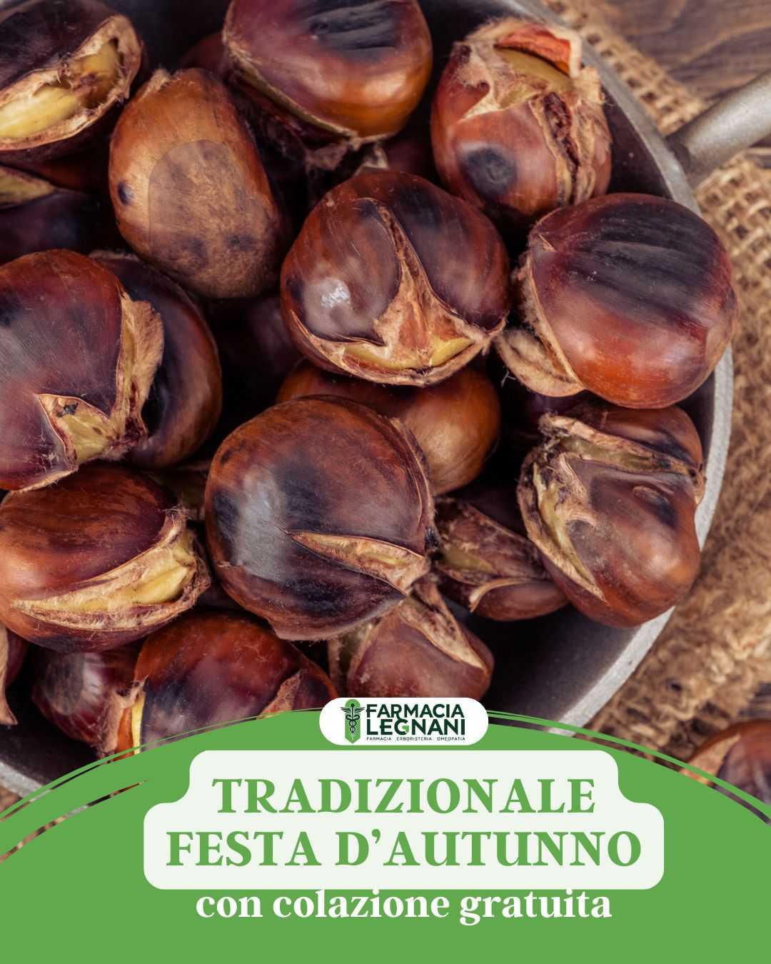 Tradizionale Festa D'Autunno
