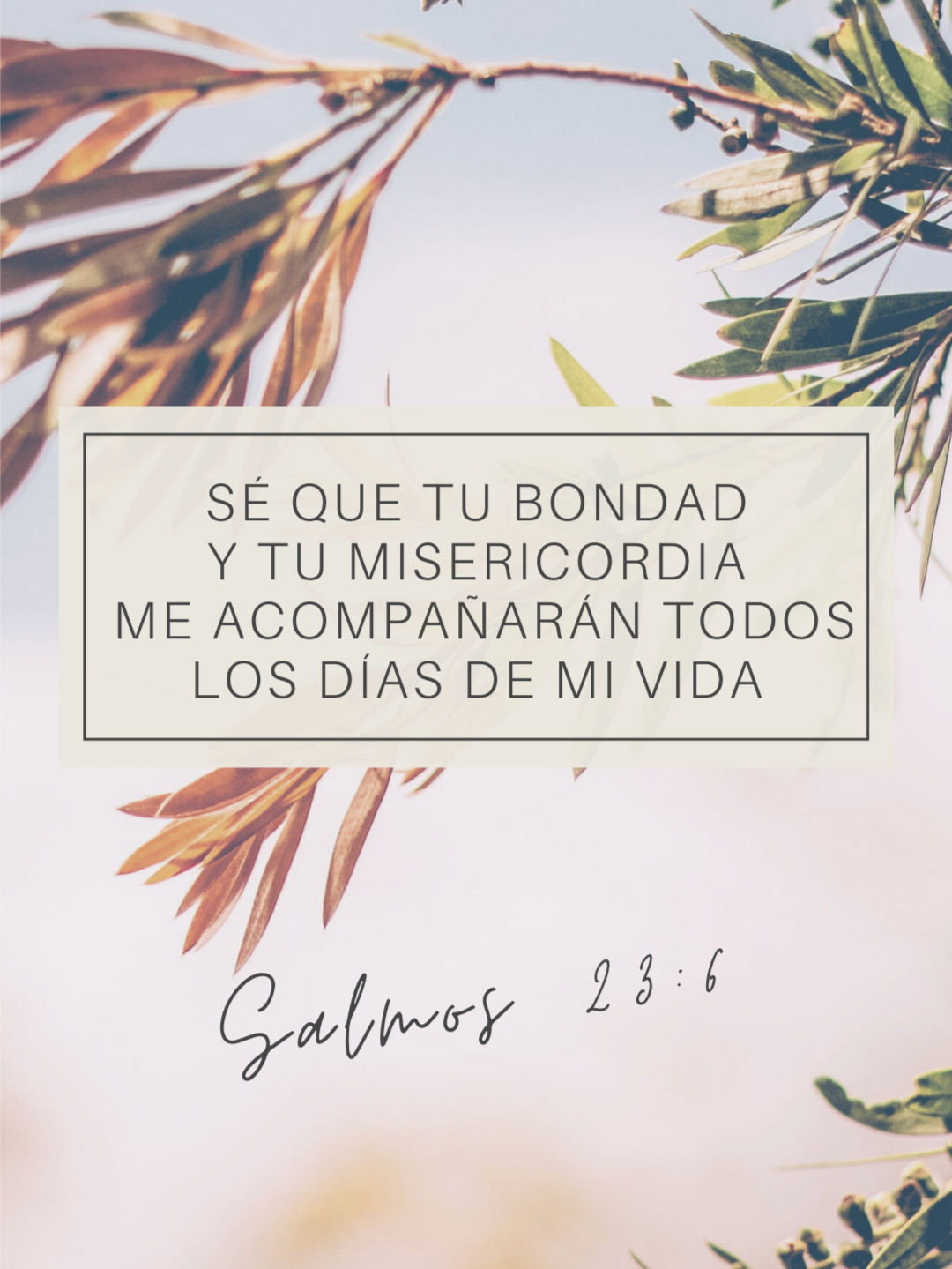 Salmos 23:6