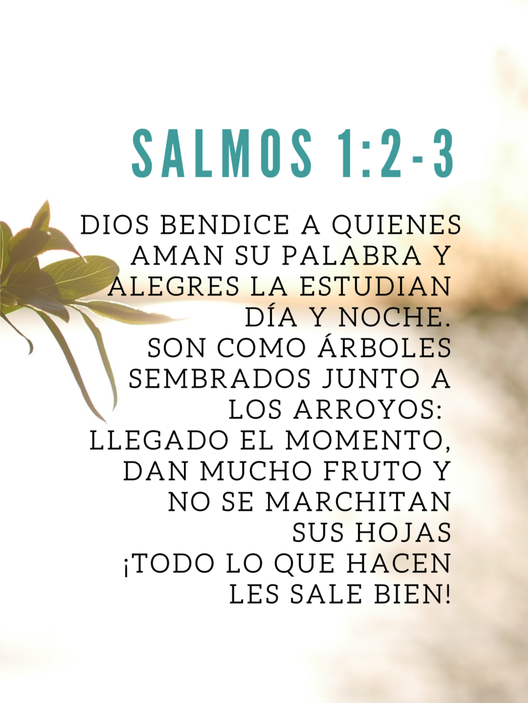 Salmos 1:2-3