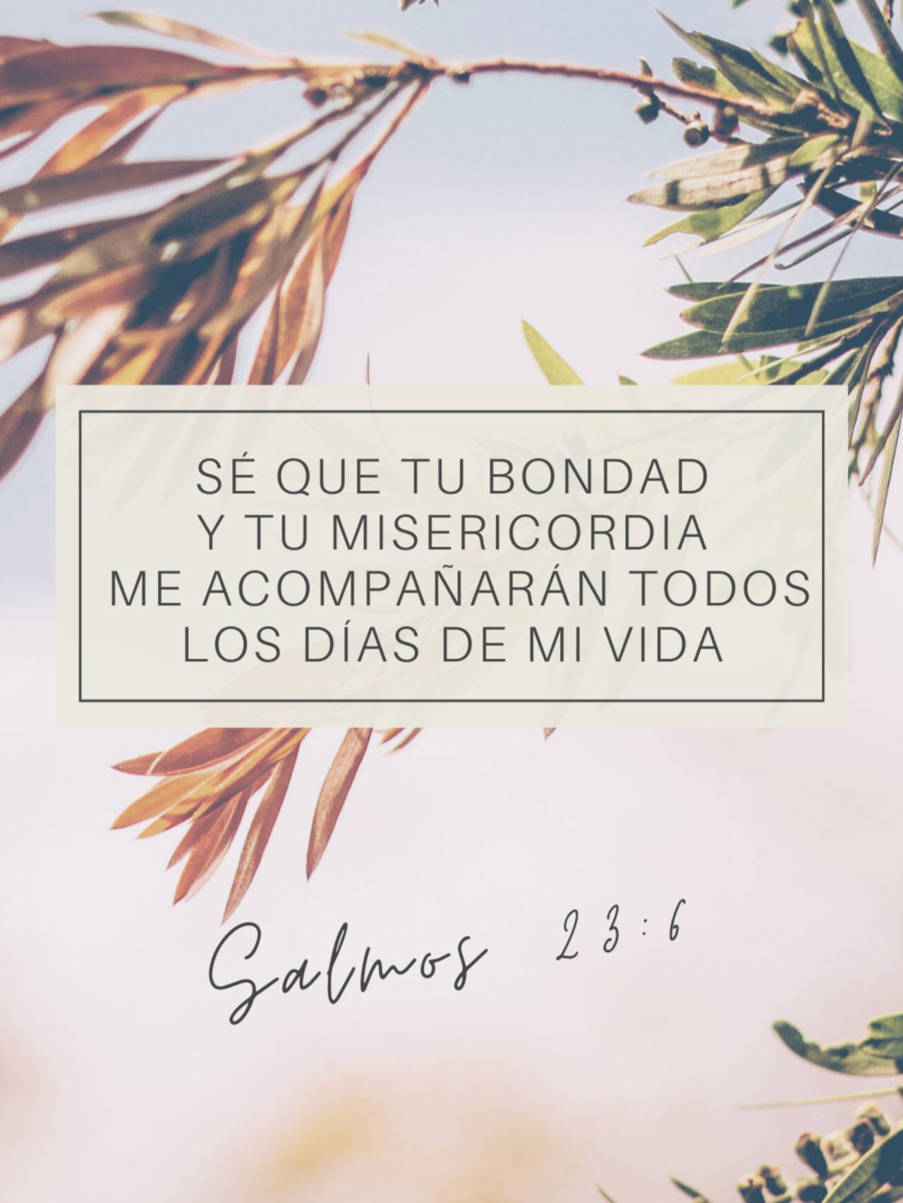 Salmos 23:6