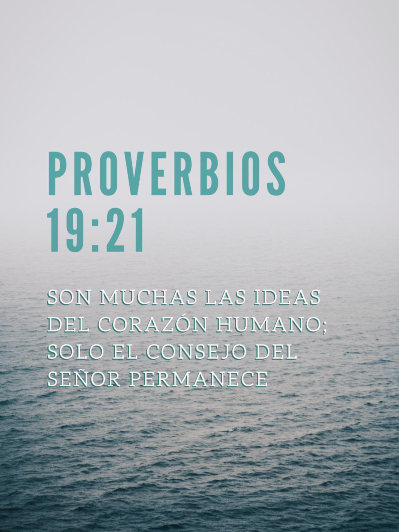 Probervios 19:21