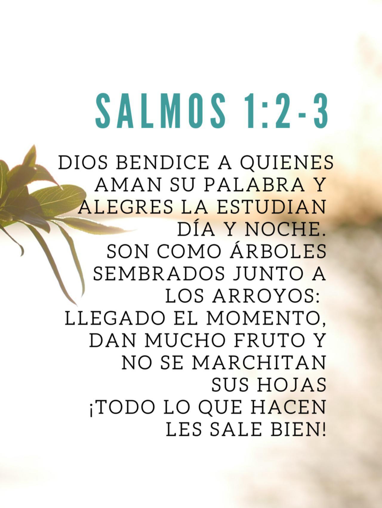Salmos 1:2-3