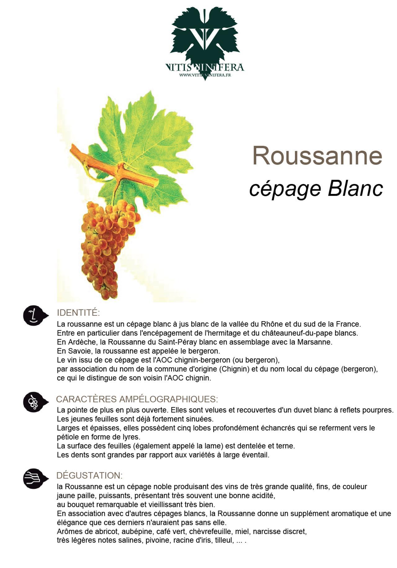 CÉPAGE - ROUSSANNE