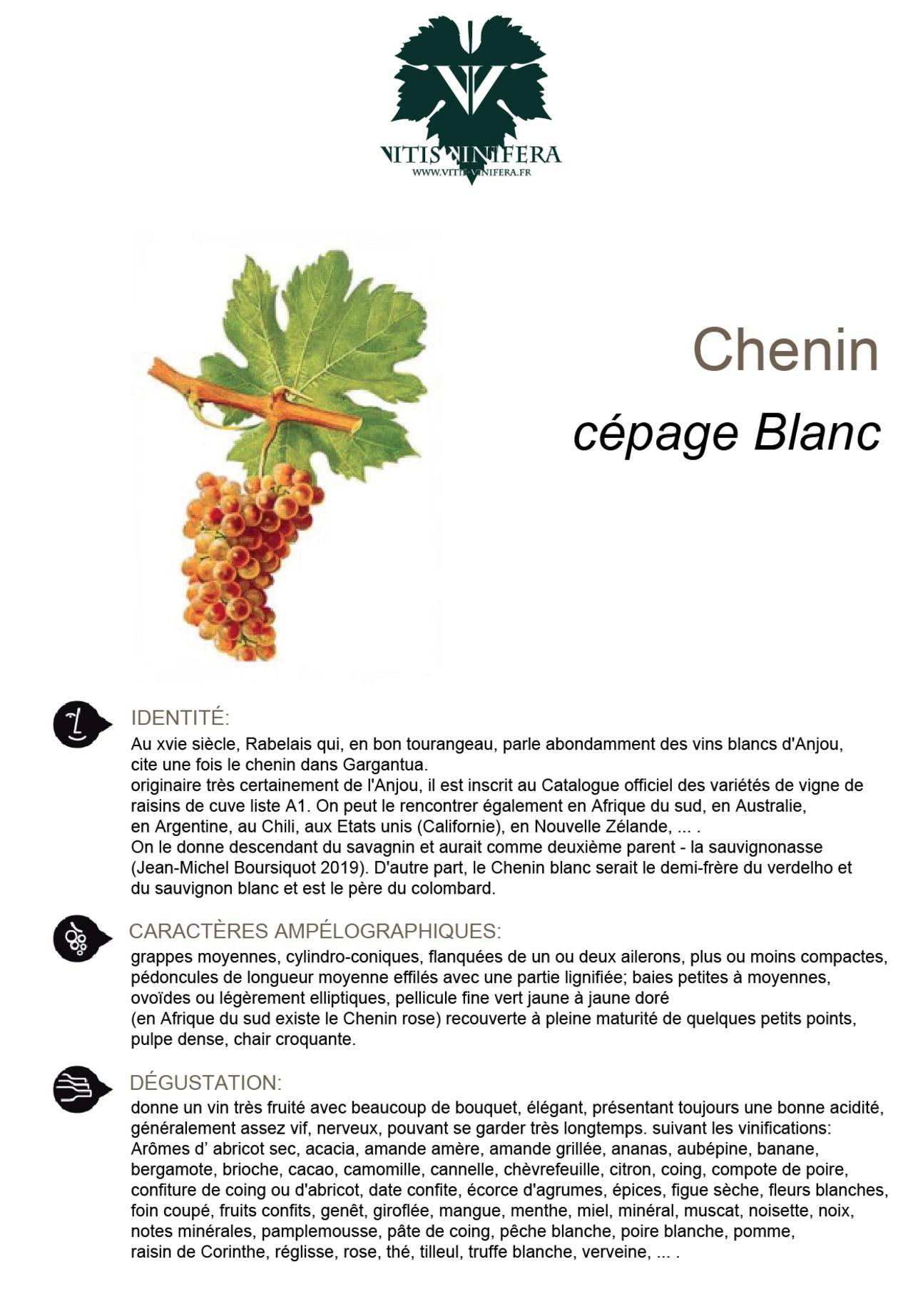 CÉPAGE - CHENIN