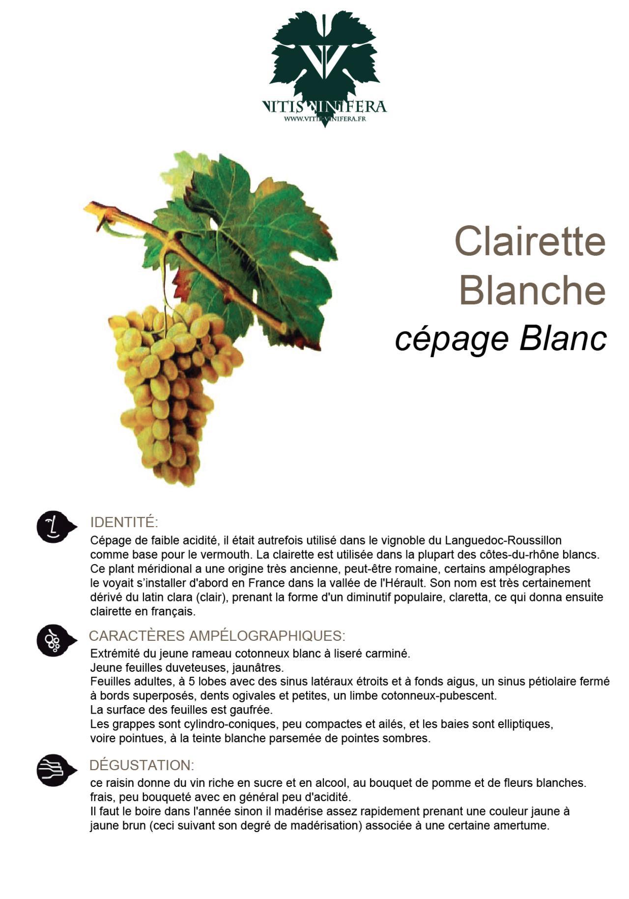 CÉPAGE - CLAIRETTE BLC