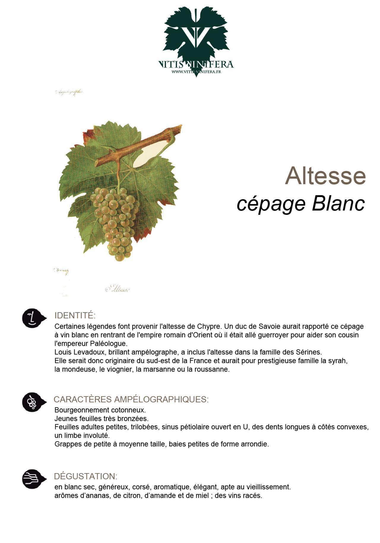 CÉPAGE - ALTESSE
