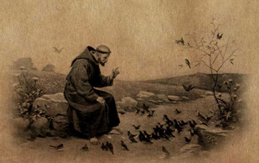 O Cântico das Criaturas