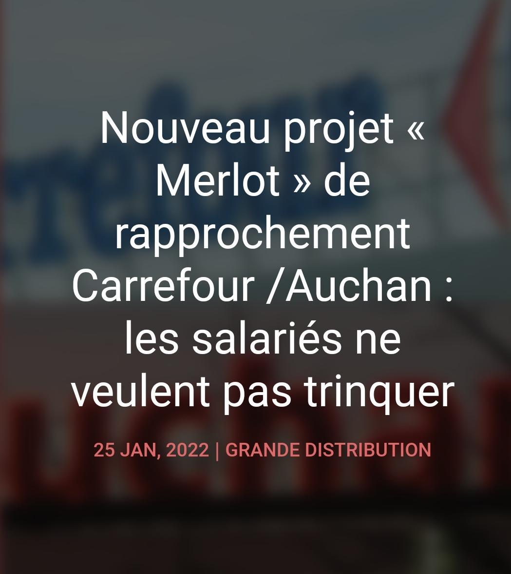 Projet (Merlot) Carrefour/Auchan