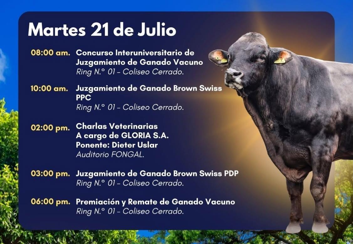 Feria Fongal 2026