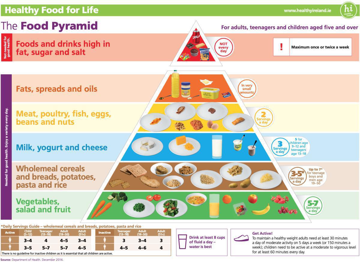 The Food Pyramid The Food Pyramid