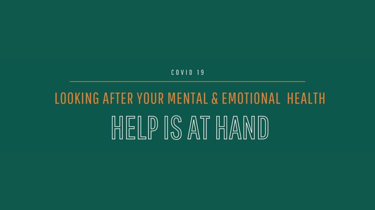 Emotional and Mental Health Supports 