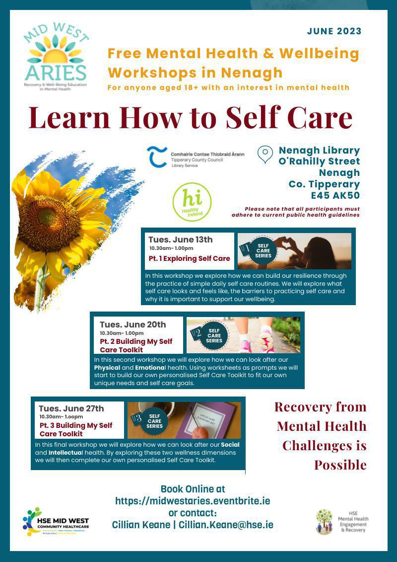 Mid West ARIES Workshops in Partnership with Nenagh Library - June 2023 Mid West ARIES Workshops in Partnership with Nenagh Library - June 2023