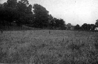 Wyman Woods Wyman Woods