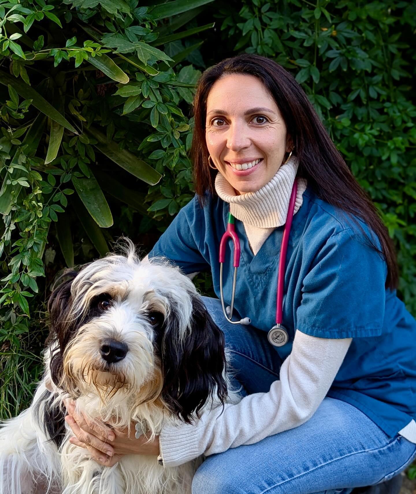 DrV. Laurie Orsini DrV. Laurie Orsini