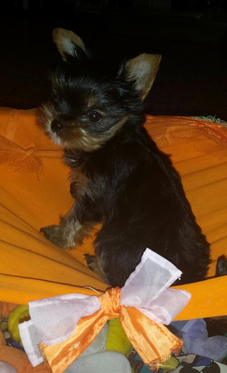 Livia, notre petite poupée née à la clinique!