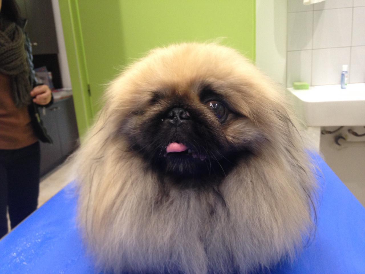 Le beau pirate Hilton