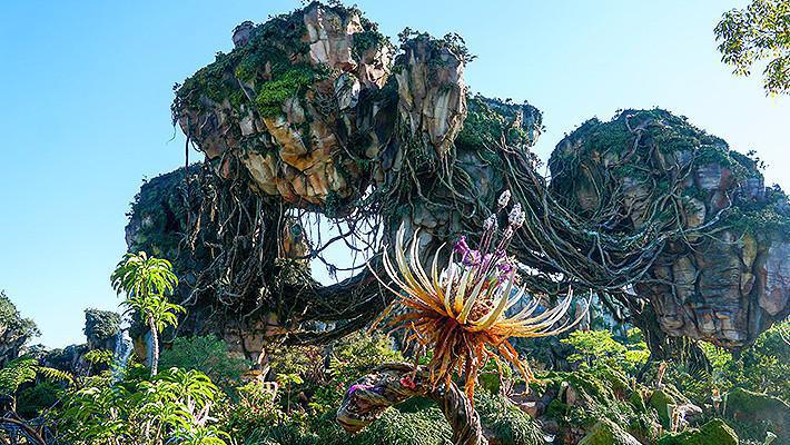 Disney's Animal Kingdom