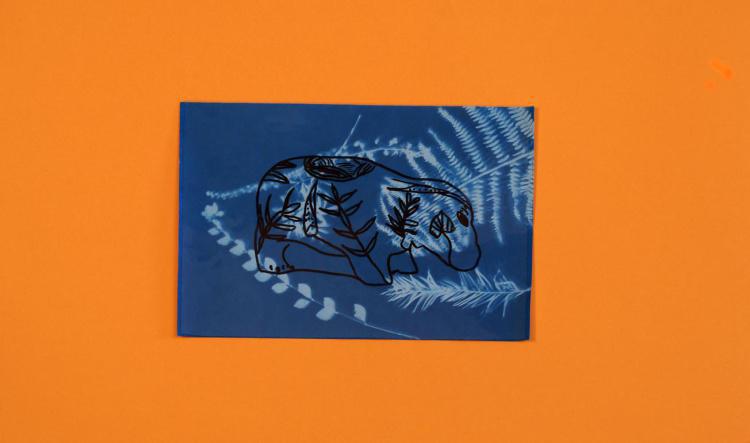 Crée un univers végétal