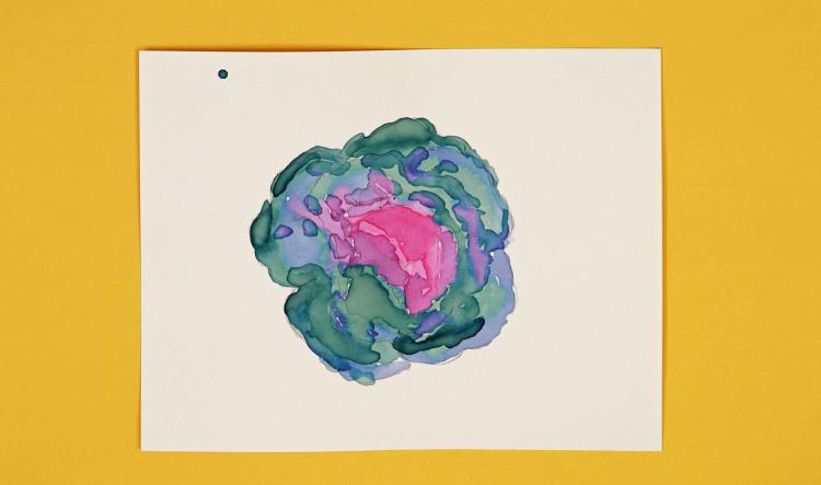 Fabrique ta peinture végétale