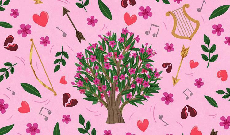 Les flèches de Cupidon