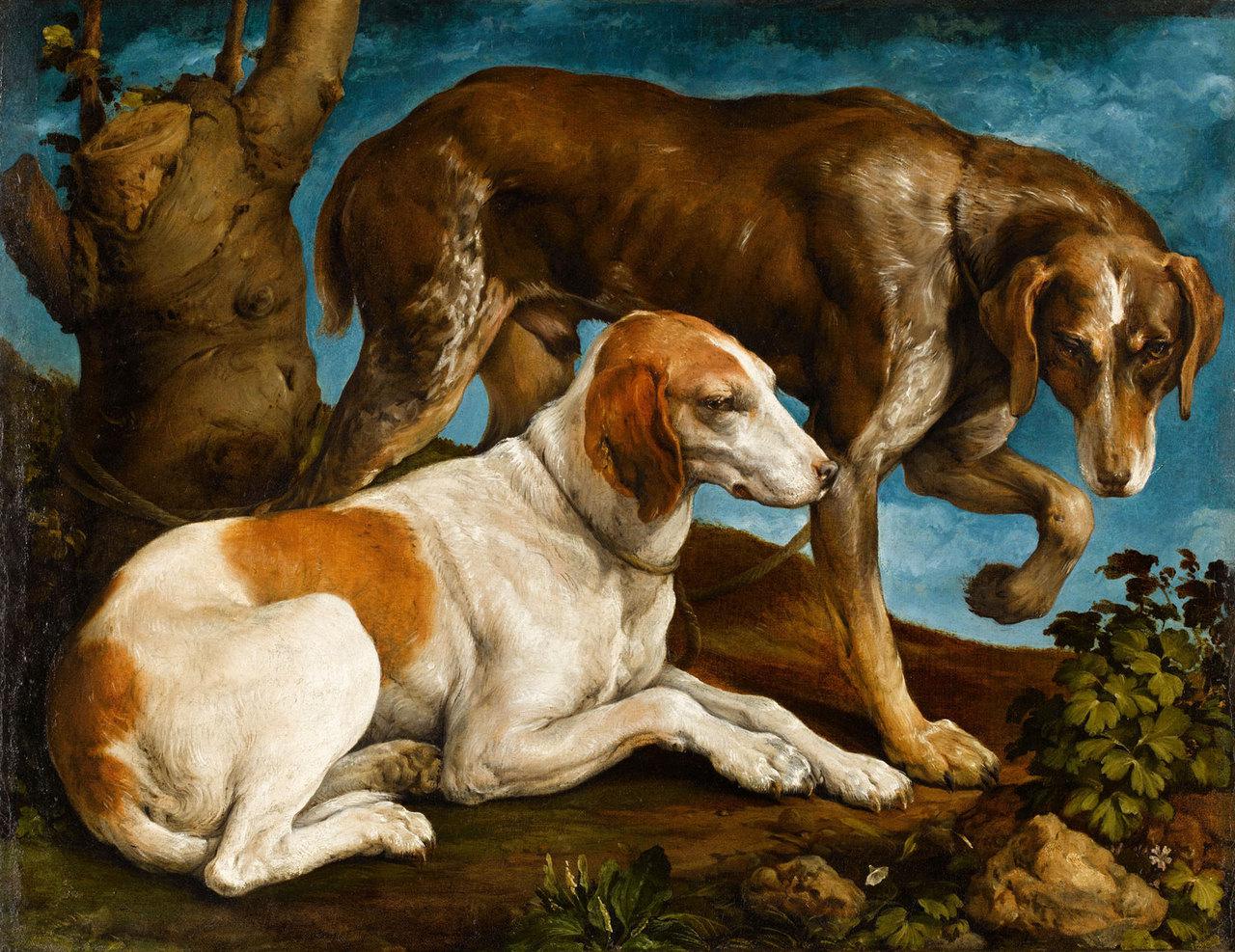 Deux chiens de chasse liés à une souche