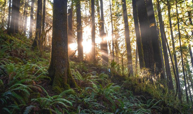 Ministerio de Evangelismo