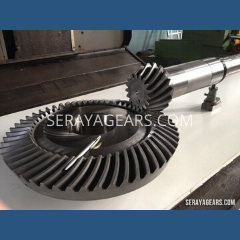 Spiral Bevel Gear for Tire Industry