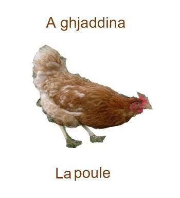 la-poule-350x385