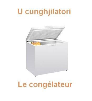 500lecongelateur2-350x385
