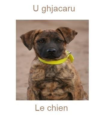 773lechien-350x385