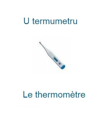 370thermometru1-363x400