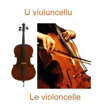 673levioloncelle-350x385