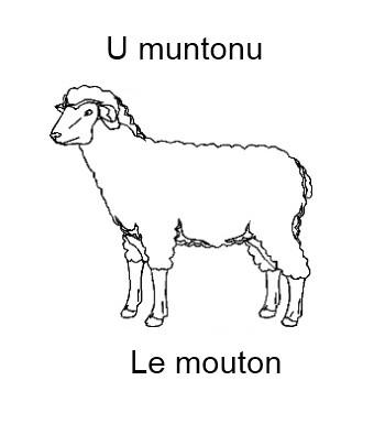 555lemouton-350x385