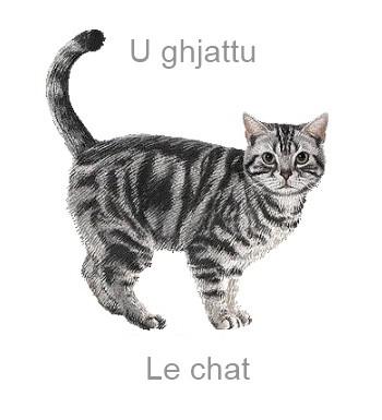 72lechat-350x385