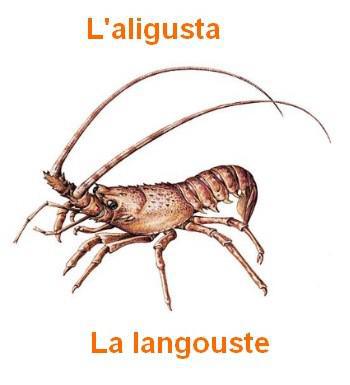 24langouste-350x385