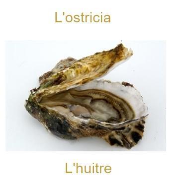 19lhuitre-350x385