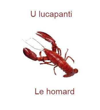 503lehomard-350x385