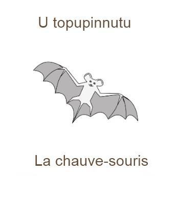 161lachauvesouris-350x385