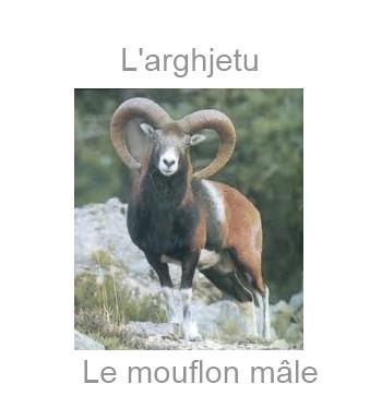 arghjetu-350x385