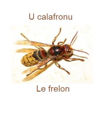 559lefrelon-350x385