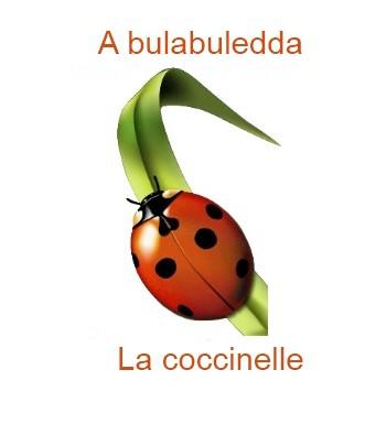 862coccinelle-350x385