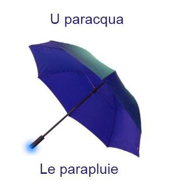 299leparapluie-350x385