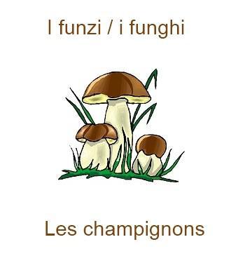 989leschampignons-350x385